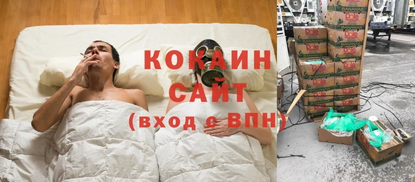 молекула духа Волосово